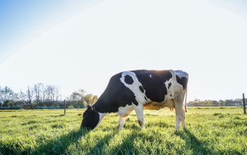 Greater flexibility coming for Dairy Processing qualifications