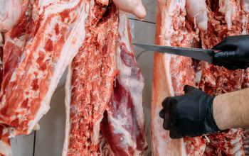 Meat processing qualifications open for feedback