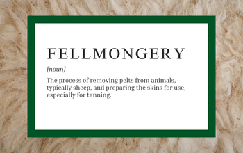 Fellmongery and Leather Processing Review – we need you!