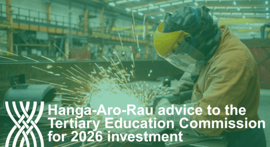 Hanga Aro Rau advice to TEC for 2026 investment