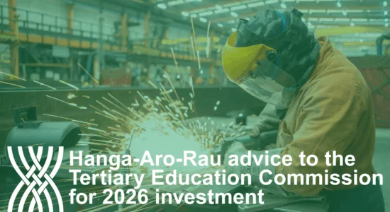 Hanga Aro Rau advice to TEC for 2026 investment